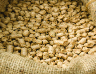 Feed Products
